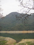 赤馬頭(?)
DSC03828