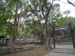 涌背燒烤場下午茶
DSC03830
