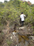 壁頂左望有山路
DSC05294
