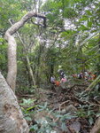 DSC05361