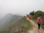 屏風山脊路(&#34910;奕信徑9段)
DSC05590
