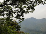 遠望似乎可見九龍坑山頂的發射站
DSC05705