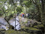 DSC05718
