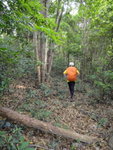 穿廢村接小徑, 基本上是跟紅絲帶在林中前行
DSC06238