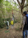 石寨下路落山途中接左邊小路
DSC06243
