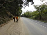 接禾徑山路
DSC06252