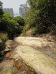 壁頂
DSC06467