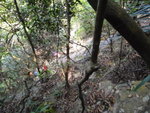 回望真係頗密
DSC06517