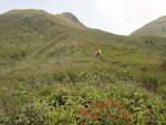 前望又見婆髻山
DSC06533