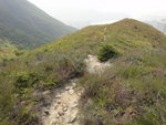 接山路若右轉可落低埔
DSC06535