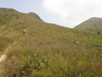 DSC06537