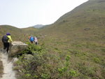 接婆髻山腰路轉右前行
DSC06543