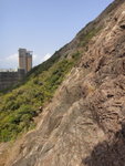DSC07141a