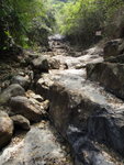 DSC07307