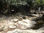 這裏己接山路
DSC07309