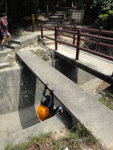引水道中有隻大馬騮
DSC07321