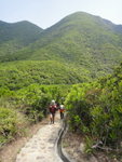 上衛徑1段回頭望孖崗山
DSC07323