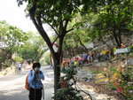 至分岔位, 右有路可落域多利道,  大隊則左上
DSC07609