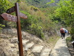 齊人後沿港島徑前行, 至分岔位, 繼續前行
DSC07677