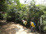 至分岔位, 大隊靠左前行, 若轉右可落薄扶林道
DSC07681