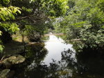 石堤上右望見薄扶林水塘
DSC07695