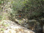 跨港島徑繼續上溯薄西坑(3.4), 回望港島徑
DSC07748