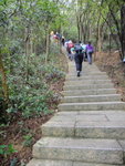 接上長命石級, 基本上梧桐山的各步道都是長命石級路
DSC08792
