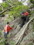 之後又要執樹根上
DSC08914