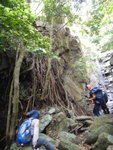 至一樹根高壁
DSC08972
