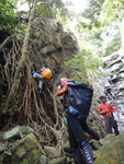 强哥左爬樹根, 呂頑童則執樹根沿濕壁上攀
DSC08973
