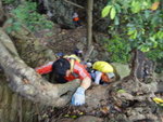 到樹頂見山貓巴踏在一懸空粗樹枝上面, 因為要踏在樹枝上面才能夠繼續上
DSC08987