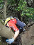 過埋這個位便到樹頂
DSC08989