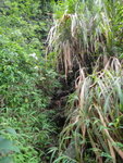 DSC09039