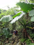 DSC09040