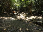 DSC09387