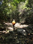 上溯歌賦南坑(32C)
DSC09388