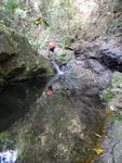 上溯馬己仙峽坑(41C)
DSC09412