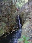 DSC09416