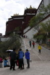 ALI_0299