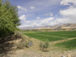 小河邊有農田, 相信小河是為灌溉用
ALI_0601