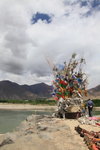 ALI_0607