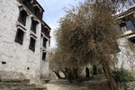 ALI_1045