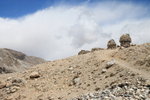 ALI_1425