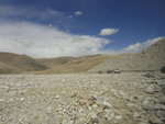 ALI_1446