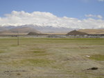 ALI_1460