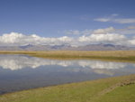 ALI_1570a