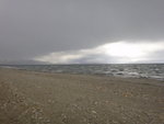 ALI_1673a