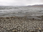ALI_1683
