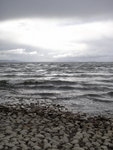 ALI_1688