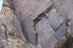 日土"仁姆楝"岩畫是畫動物及人物
ALI_3241